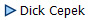 Dick Cepek